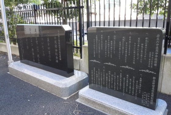 �V�����Δ�